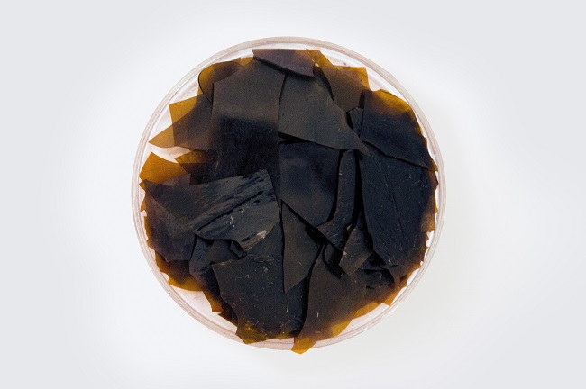 機(jī)制蟲(chóng)膠片.jpg 機(jī)制蟲(chóng)膠片.jpg